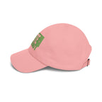 "VOTE THEM OUT" Political Dad Cap Baseball Hat