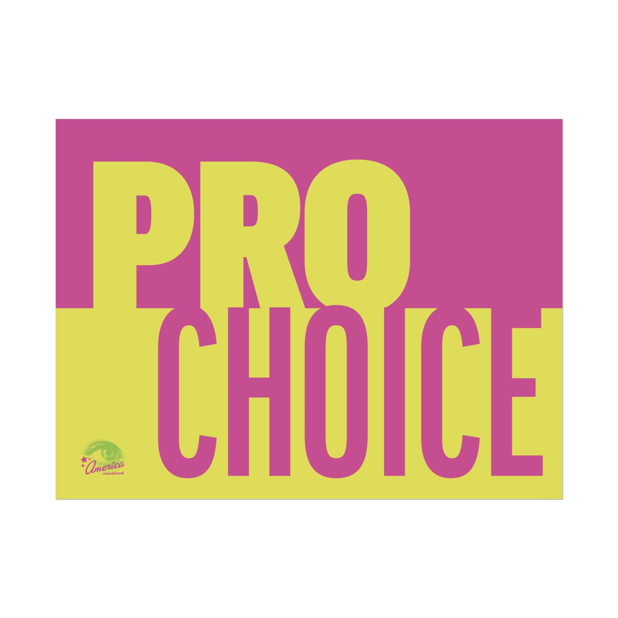 PRO CHOICE 24" x 18" Protest Sign Poster