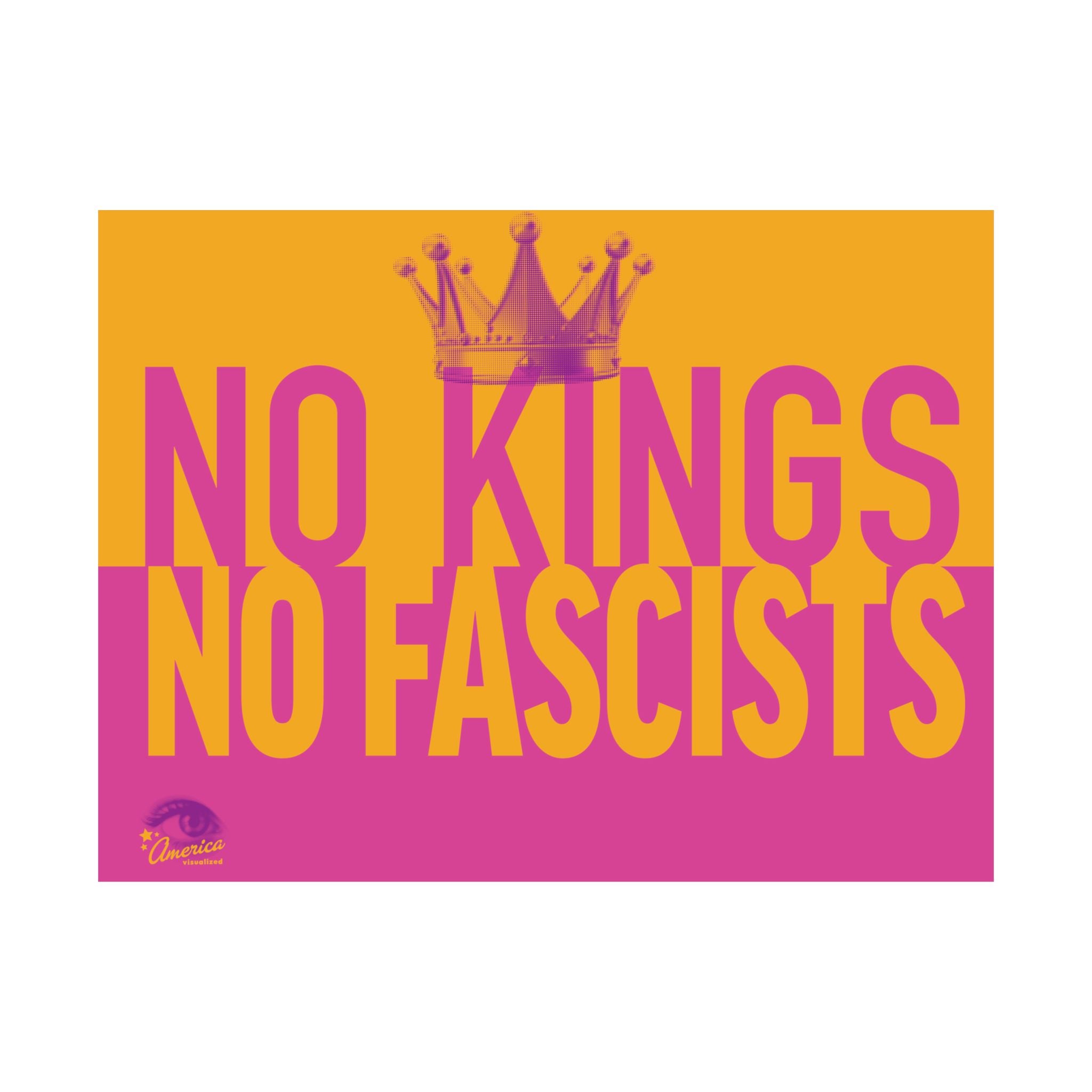 No Kings, No Fascists 24" x 18" Protest Sign Poster