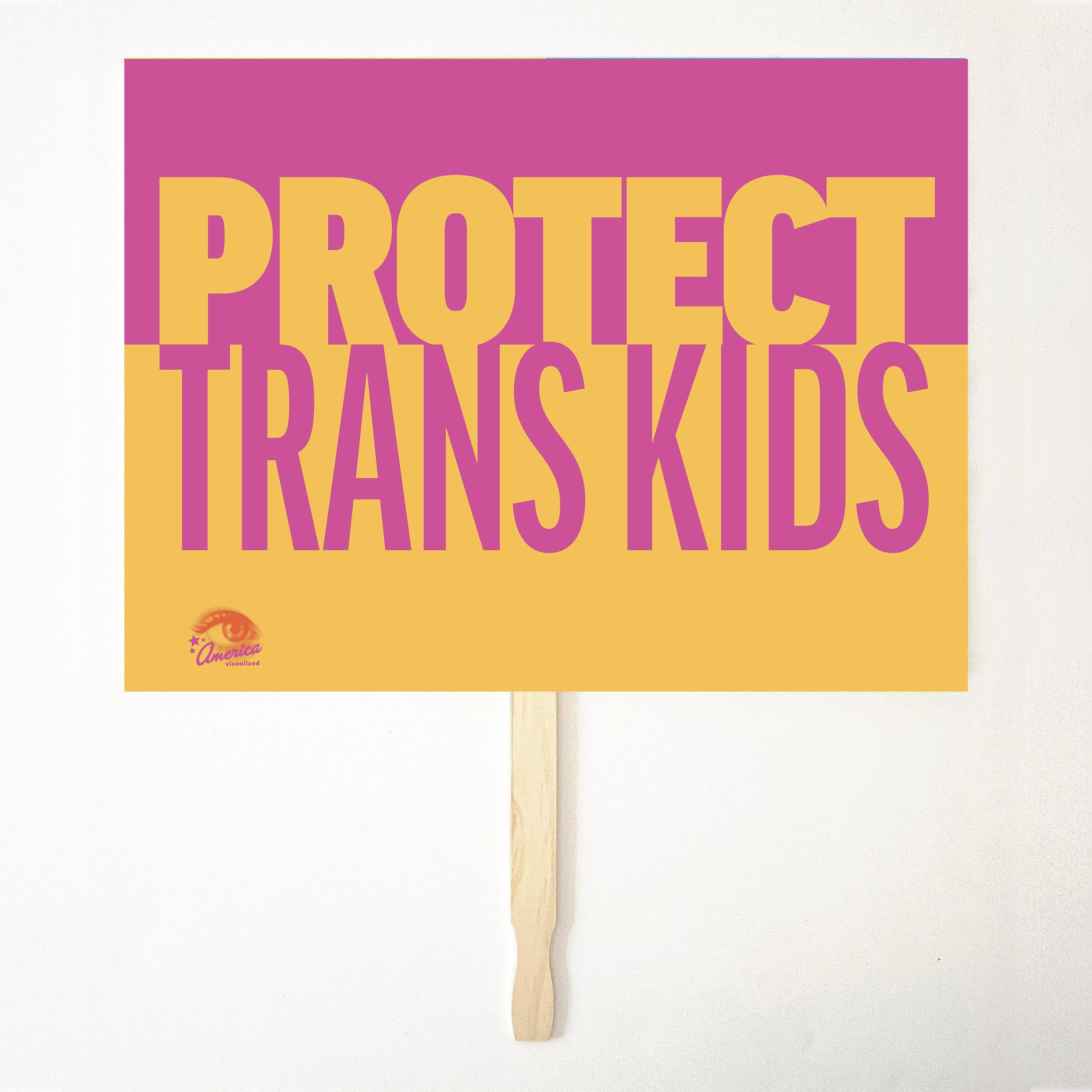 PROTECT TRANS KIDS 24" x 18" Protest Sign Poster