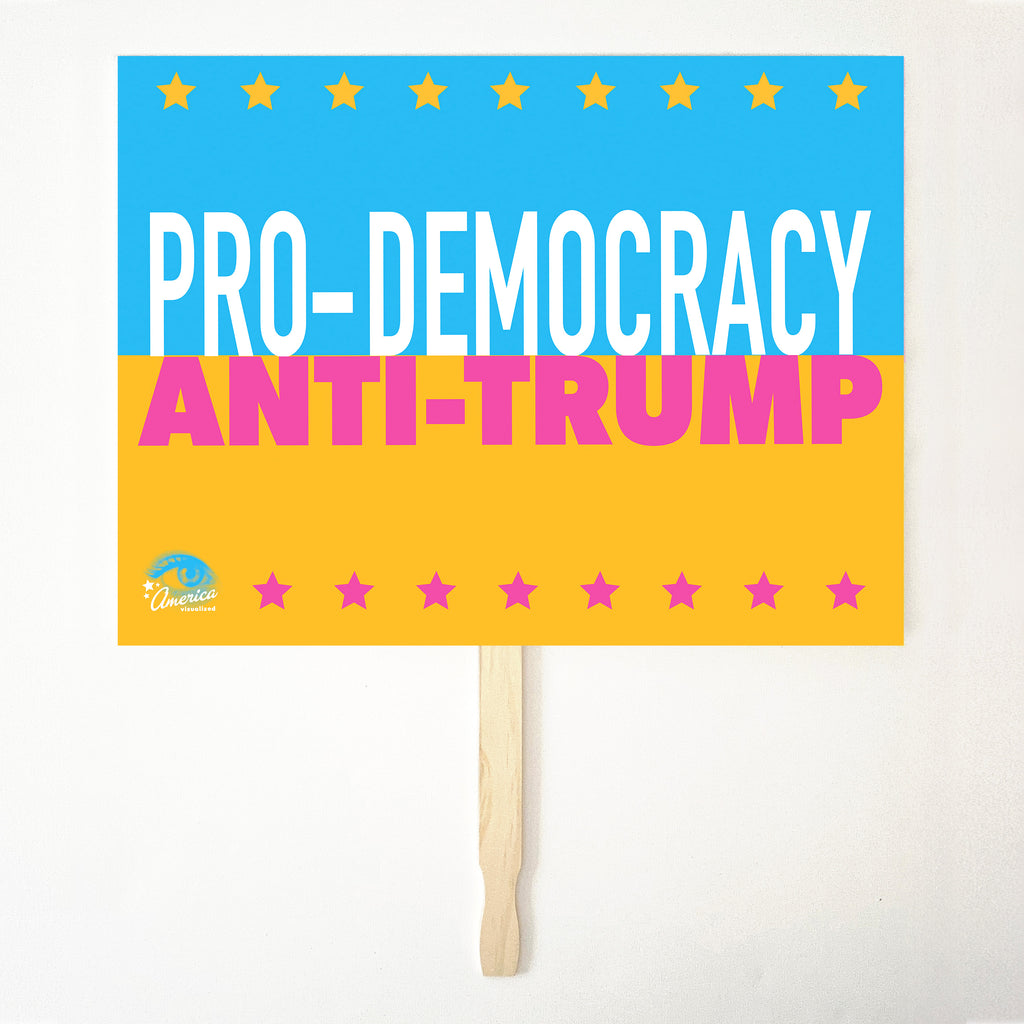 PRO-DEMOCRACY, ANTI-TRUMP 24" x 18" Protest Sign Poster