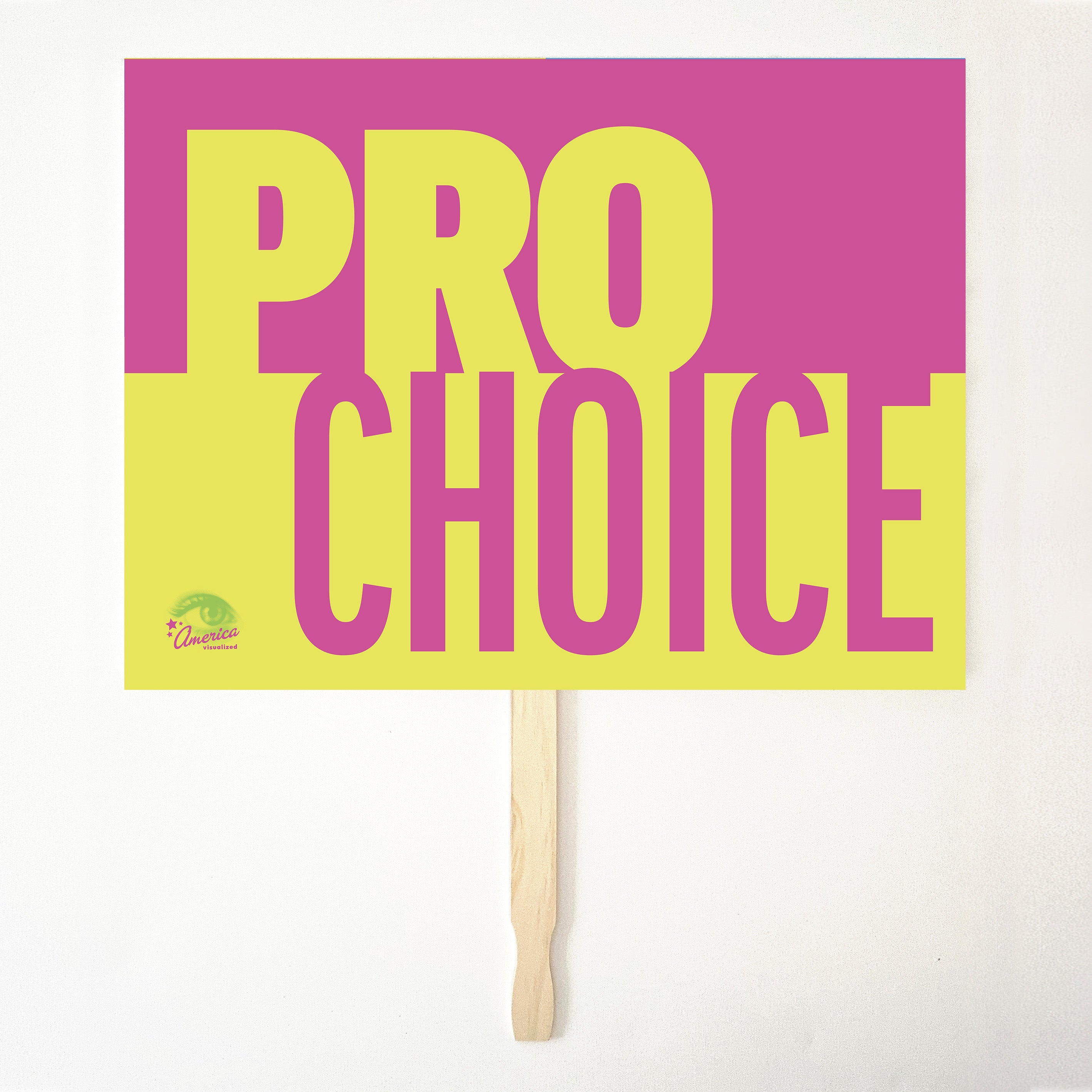 PRO CHOICE 24" x 18" Protest Sign Poster