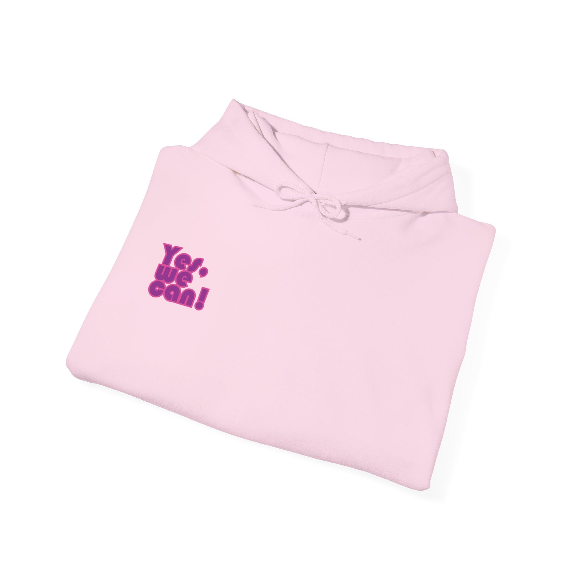 Protect Democracy Heart Hoodie Sweatshirt