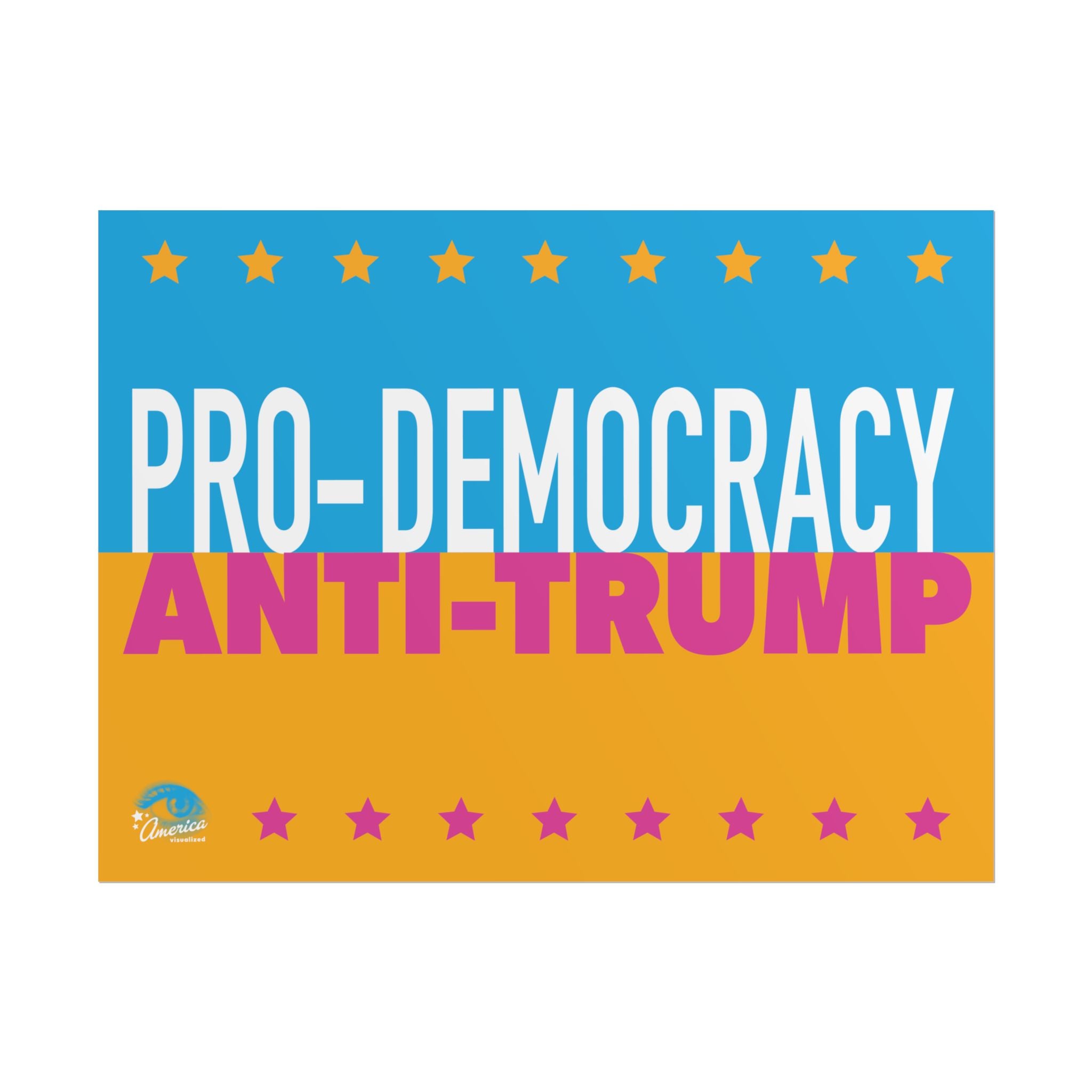 PRO-DEMOCRACY, ANTI-TRUMP 24" x 18" Protest Sign Poster